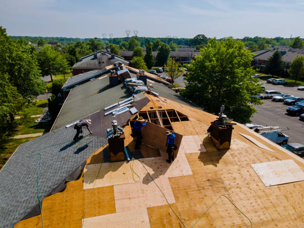Best Roof Gutter Cleaning  in Union Park, FL