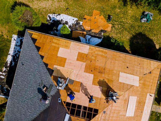 Best Roof Restoration Services  in Union Park, FL