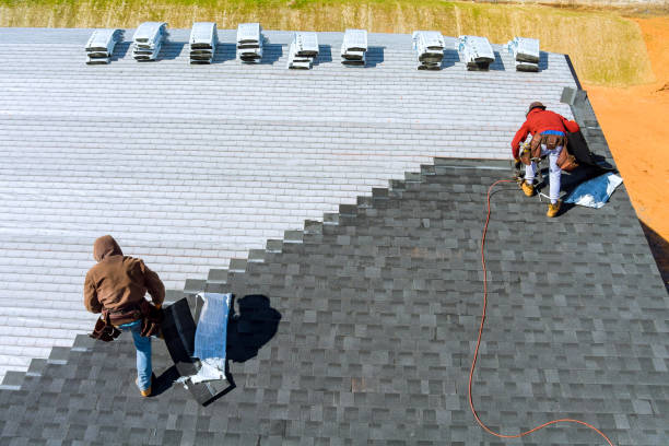 Professional Roofing Contractor in Union Park, FL