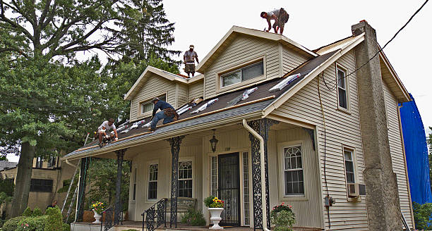 Best Flat Roof Repair Services  in Union Park, FL